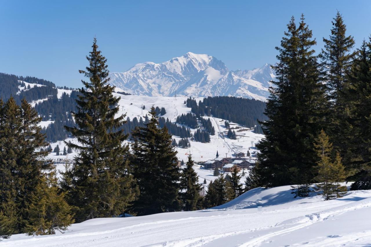 Les Saisies Appart 1 Chambre Au Pied Des Pistes 外观 照片