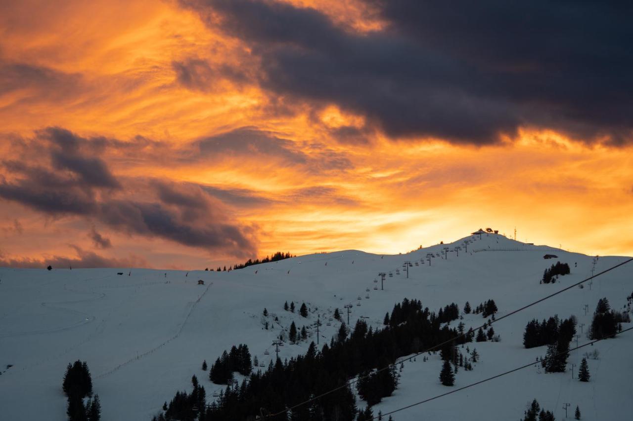 Les Saisies Appart 1 Chambre Au Pied Des Pistes 外观 照片