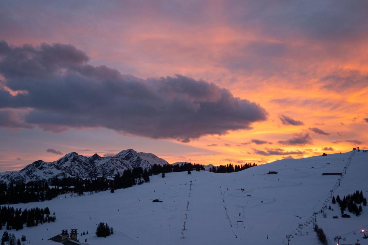 Les Saisies Appart 1 Chambre Au Pied Des Pistes 外观 照片