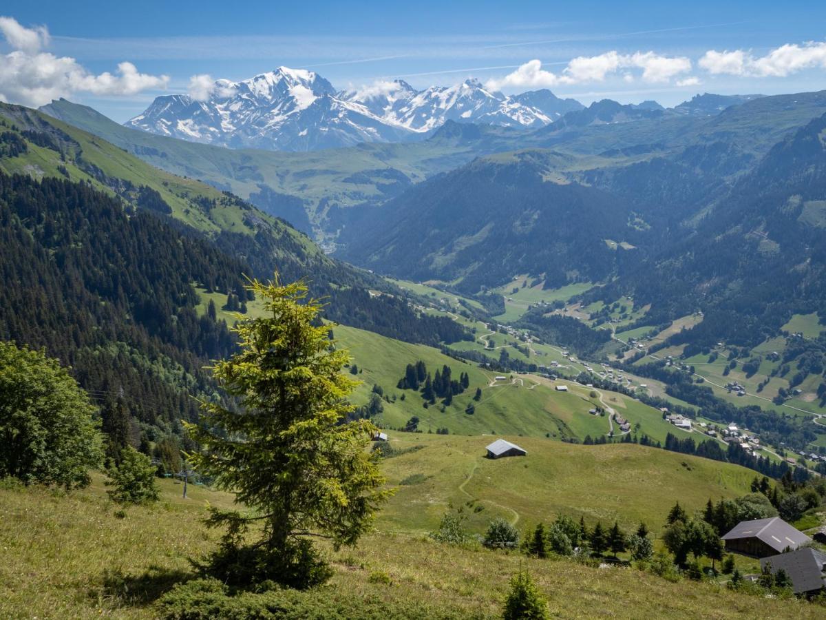 Les Saisies Appart 1 Chambre Au Pied Des Pistes 外观 照片