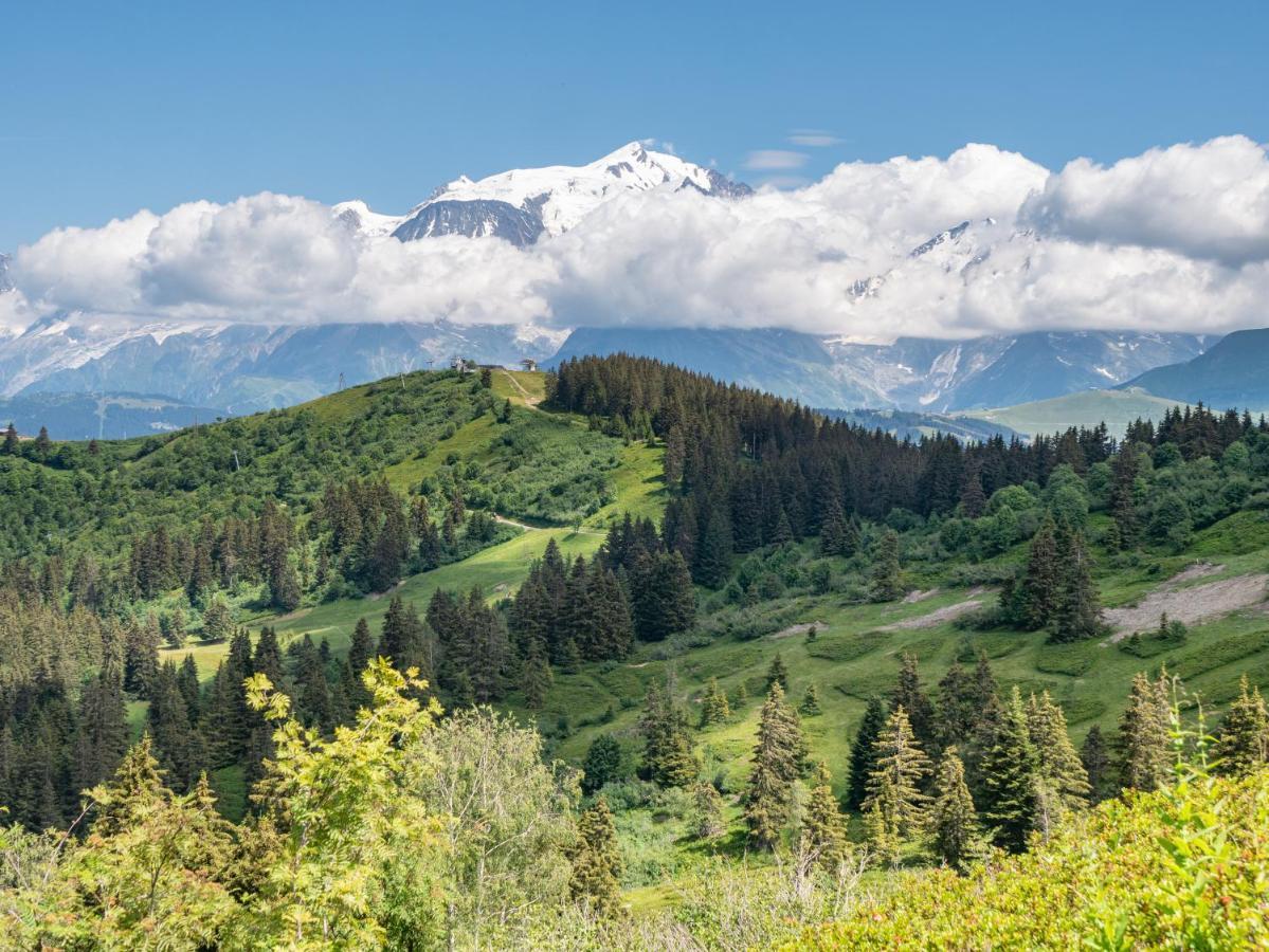 Les Saisies Appart 1 Chambre Au Pied Des Pistes 外观 照片